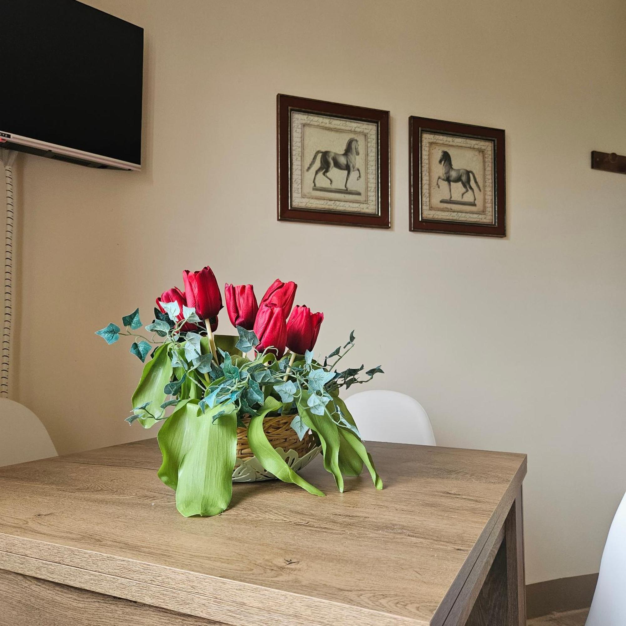 Agrifoglio Apartment Pantalla Exterior photo